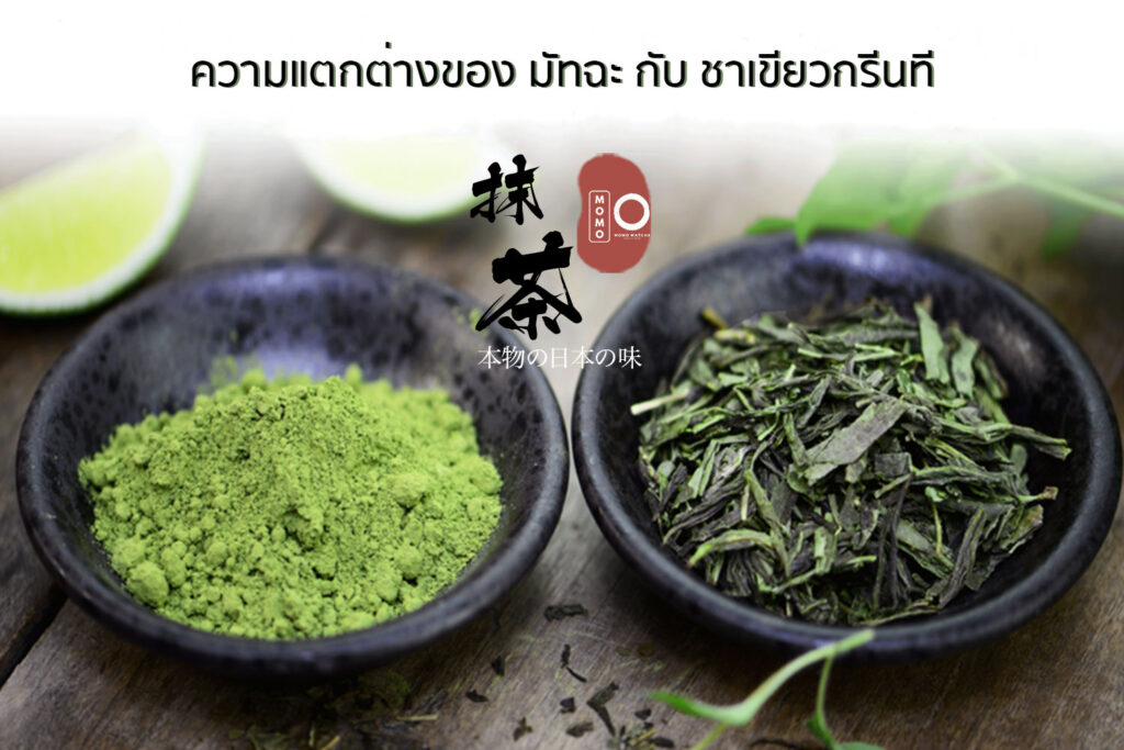 ชาเขียวกรีนทีต่างจากมัทฉะอย่างไร เครื่องดื่มชาเขียวที่ได้รับความนิยมโดยหลักๆแล้วจะมีชาเขียวอยู่ 2 ชนิด มีต้นกำเนิดมาจากญี่ปุ่น