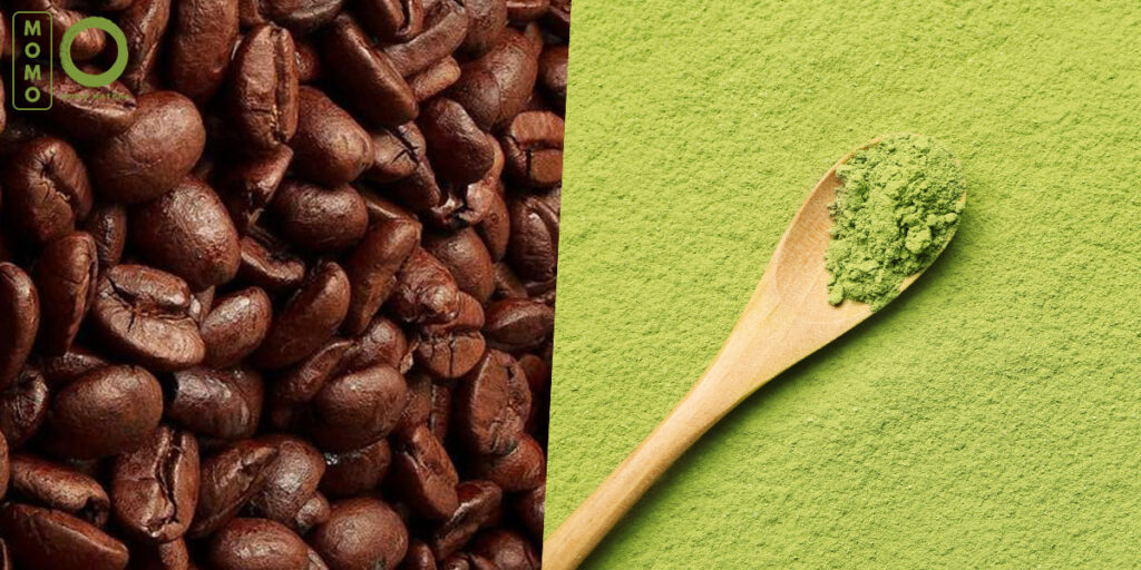 มัทฉะ vs กาแฟ ต่างกันยังไง เครื่องดื่มยอดนิยมที่มีคาเฟอีนช่วยให้คุณตื่นตัวสดชื่น 