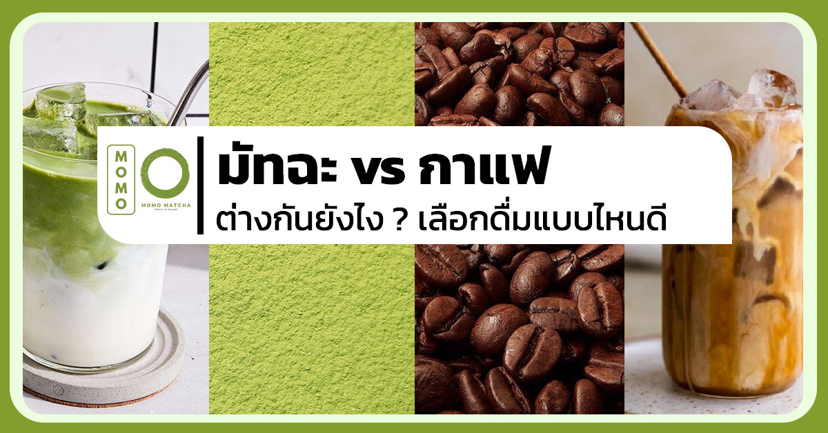 มัทฉะ vs กาแฟ ต่างกันยังไง เครื่องดื่มยอดนิยมที่มีคาเฟอีนช่วยให้คุณตื่นตัวสดชื่น