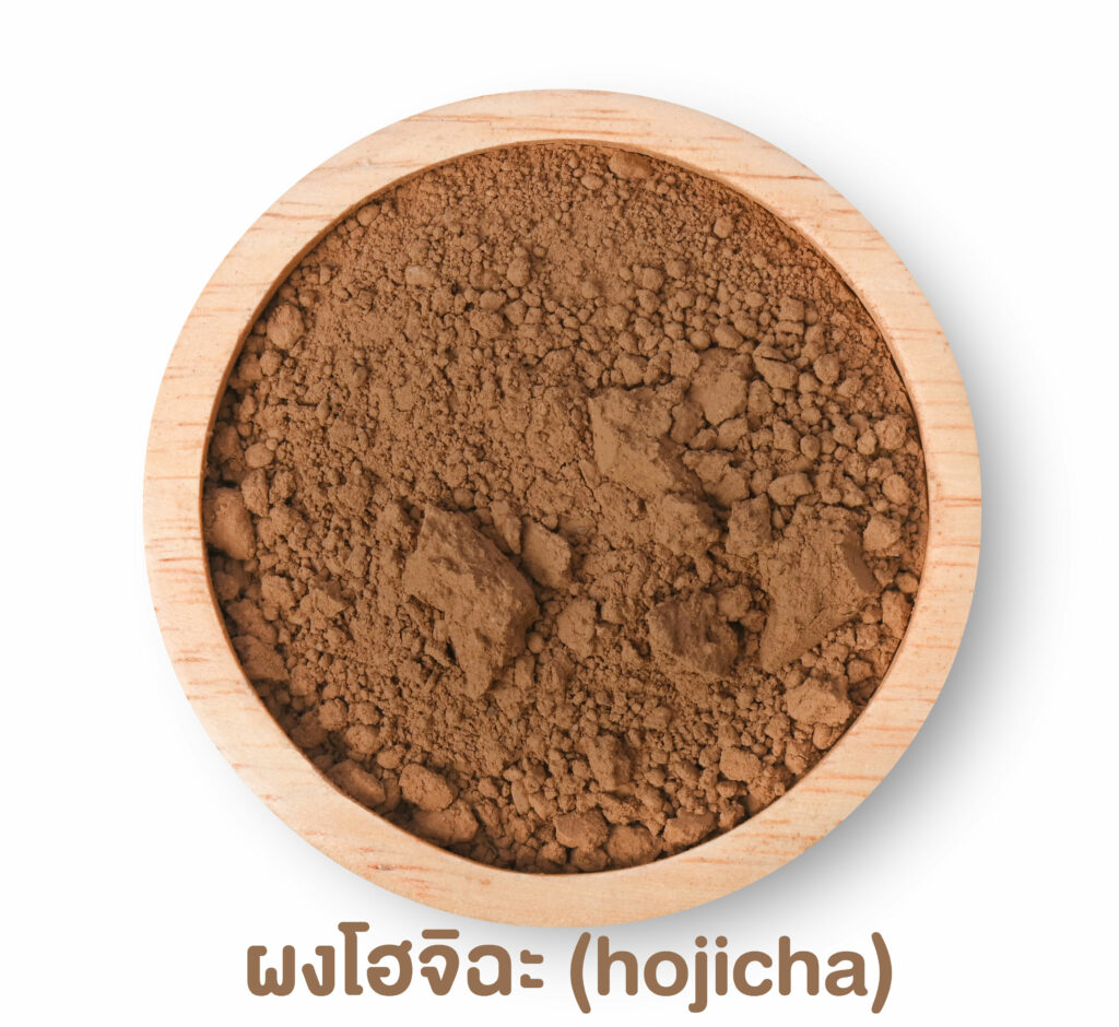 ชวนทำความรู้จัก โฮจิฉะ (Hojicha) คืออะไร ผงโฮจิฉะ ทำไมถึงเรียกว่าชาเขียวคั่ว 